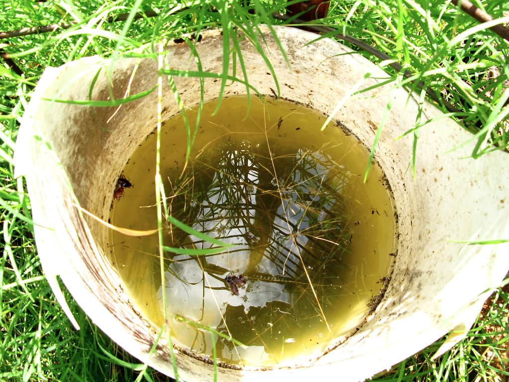 A bucket of water being poured into a sump pit